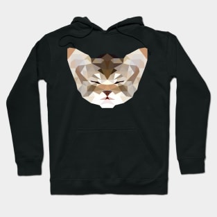 cat polygon kitten Hoodie